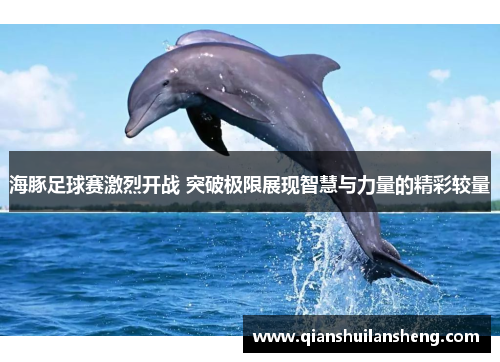 海豚足球赛激烈开战 突破极限展现智慧与力量的精彩较量