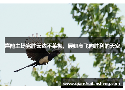 喜鹊主场完胜云达不莱梅，展翅高飞向胜利的天空